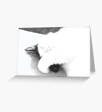 Catnapping Clifford Greeting Card