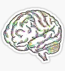 Zany Brainy Sticker