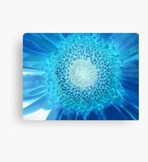 BLUE GERBERA Canvas Print