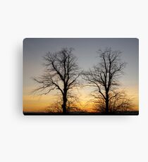 December sky at dusk - two trees Canvas Print