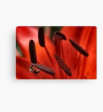 Having Lunch Canvas Print