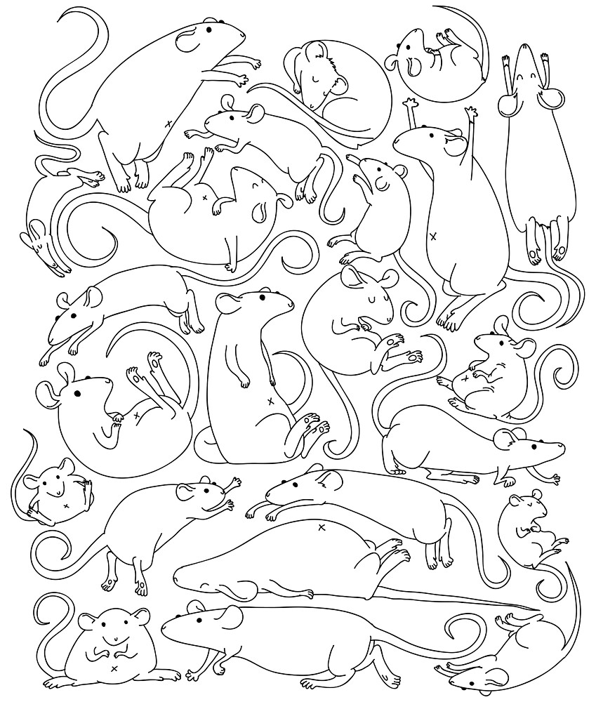 "Rattern - cute funny rat pattern" by Allydrawsthings | Redbubble