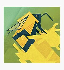 The Rhombus Bombus Photographic Print