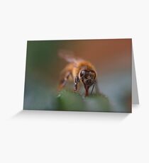 Honeybee Greeting Card