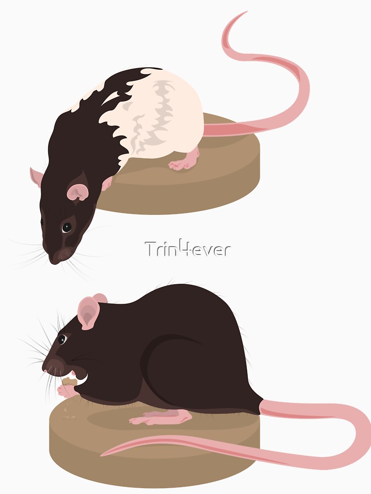 Curious Rat and Brown Rat by Trin4ever