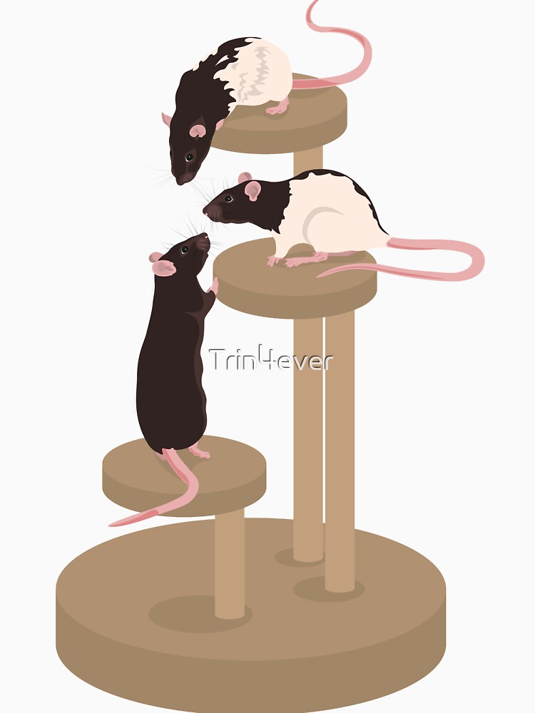 Climbing Ratties by Trin4ever