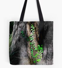 Tilden Park, Berkeley California Tote Bag