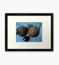 tailed Framed Print