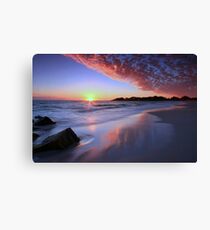 Pretty in Pink Canvas Print