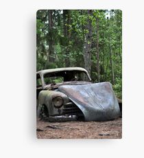 Rusty - Colour version Canvas Print
