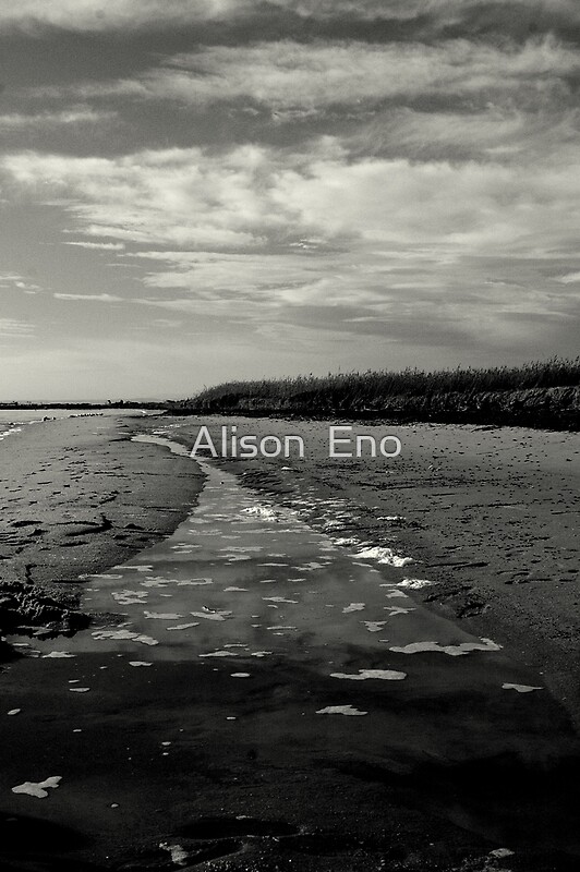 "Lang Lang Beach, VIC Australia" Greeting Cards by Alison Eno Redbubble