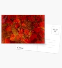 DEDICATED TO CHRIS ARMYTAGE Postcards