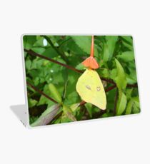 Cloudless Sulphur butterfly in Mahogany Vine Laptop Skin
