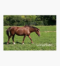 Weather - NNEP Ottawa, ON Photographic Print