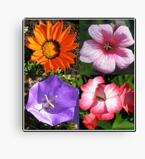 Pretty Foursome - Sunlit Summer Flowers Collage Leinwanddruck