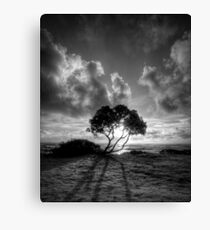 Long Shadow Canvas Print