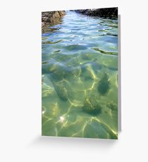 Wingaersheek... Greeting Card
