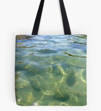 Wingaersheek... Tote Bag