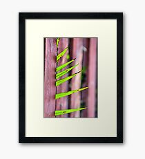 Spike Framed Print
