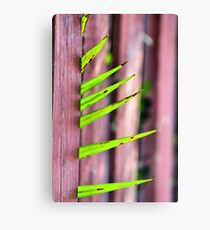 Spike Canvas Print