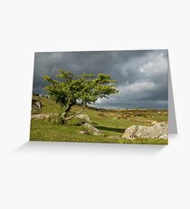 Lone tree on Dartmoor Greeting Card