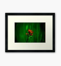 paint brush Framed Print