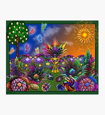 Apo Rainbow Garden Photographic Print