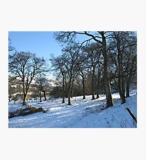 Winter afternoon Photographic Print