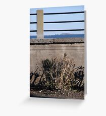 Fort Sumter Greeting Card