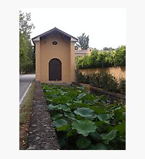 ...NINFEE A PARMA .....ITALY - EUROPA - MONDO - Photographic Print
