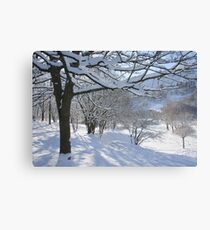 Cwm in snow Canvas Print