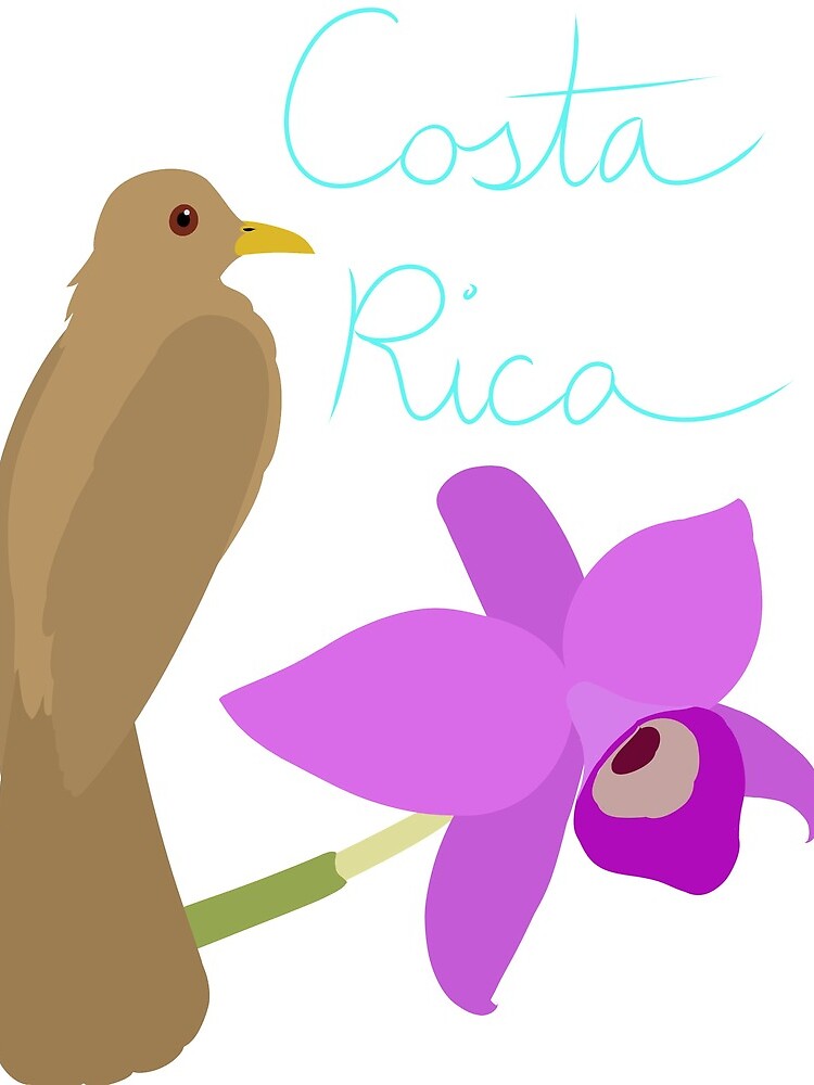 Costa Rica: Guaria Morada and Clay Colored Thrush by LegendofStella