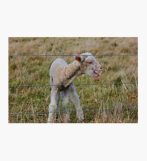 New born Photographic Print