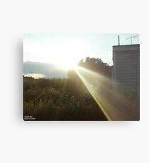 Light That Gives Life ! Metal Print