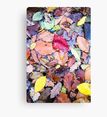 autumn paint Canvas Print