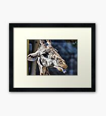 Economy Framed Print