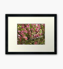 Blooms Framed Print