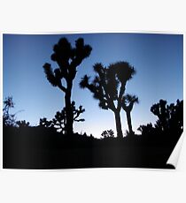 Joshua Trees at Dusk Poster