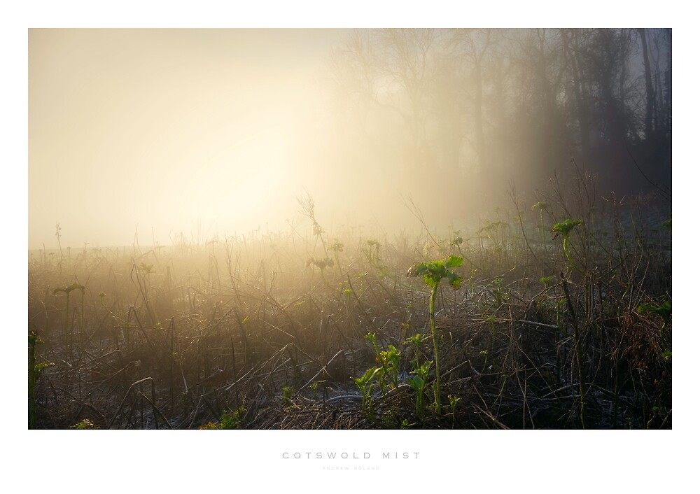 "Cotswold Mist" by Andrew Roland Redbubble