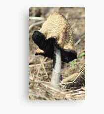 Ink cap Canvas Print