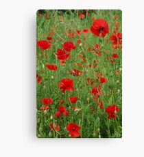 Poppy Field, France. Canvas Print