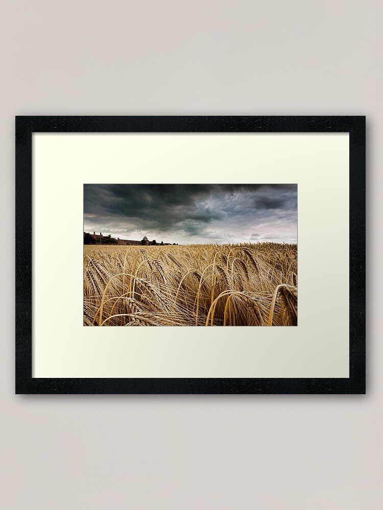 Alternate view of Before the Harvest Framed Art Print