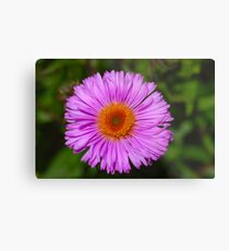 Enjoy Me :) Metal Print