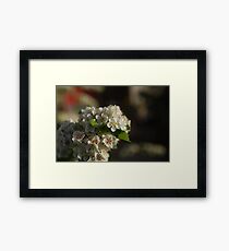 Flower Framed Print