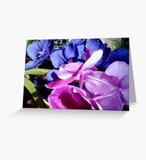 Orchids: is it a boy or a girl? Greeting Card