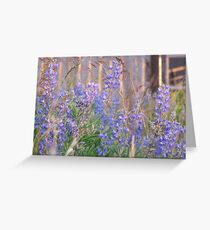 Lupin Blue Greeting Card