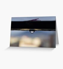 after the rain Greeting Card