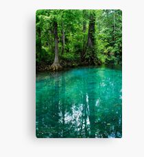 Silver Springs Florida Canvas Print