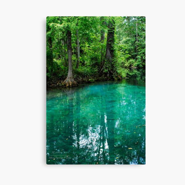 Silver Springs Florida Canvas Print