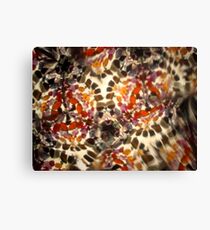 Kaleidescope 158 Canvas Print